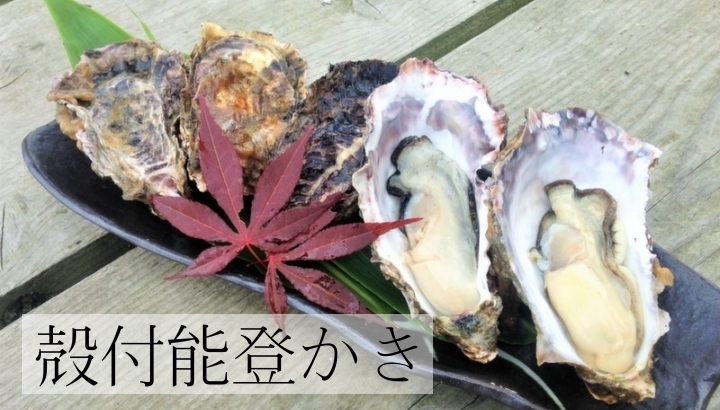 能登牡蠣の通販 おうた水産