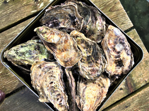 牡蠣 おうた水産 牡蠣 おうた水産