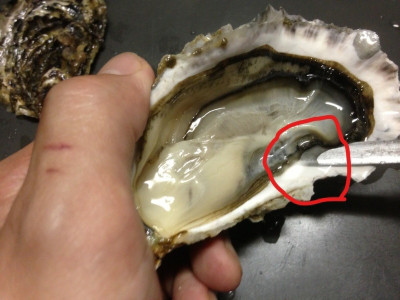 殻付かきの開け方 おうた水産 殻付かきの開け方 おうた水産