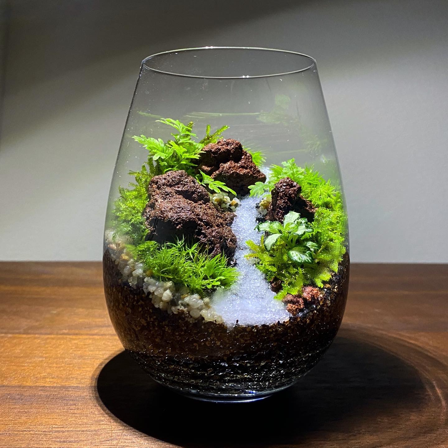 完成品！｜苔と緑の癒し／生体ケージ(隠れ家あり)、観賞用（グラステラリウムナノ） 完成品！｜苔と緑の癒し／生体ケージ(隠れ家あり)、観賞用（グラス