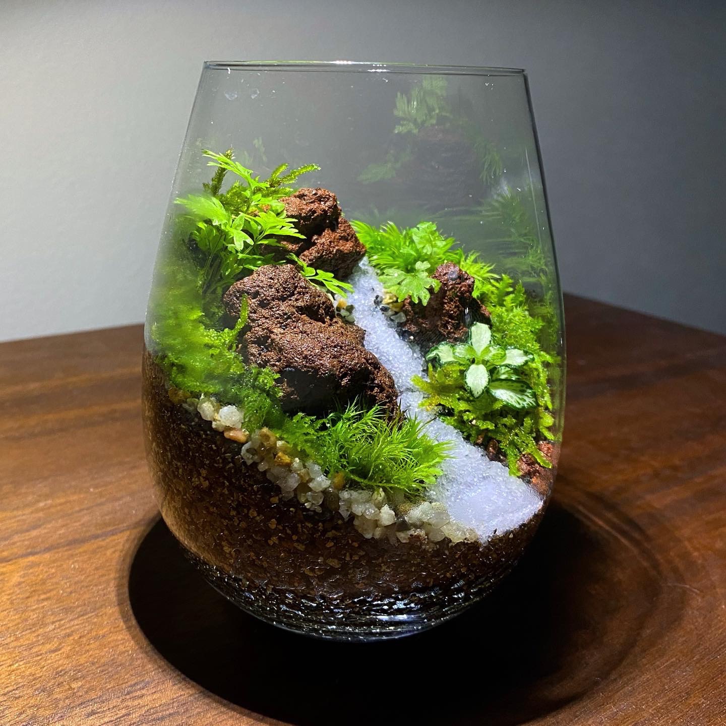 しずく型ガラス容器の苔テラリウム 【新作】 | 苔えくぼ ～こもれびの