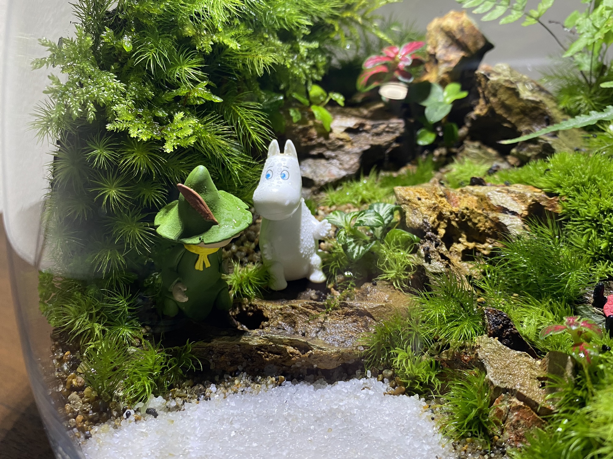 制作依頼品】ムーミンの世界 | 苔えくぼ ～こもれびの森から～