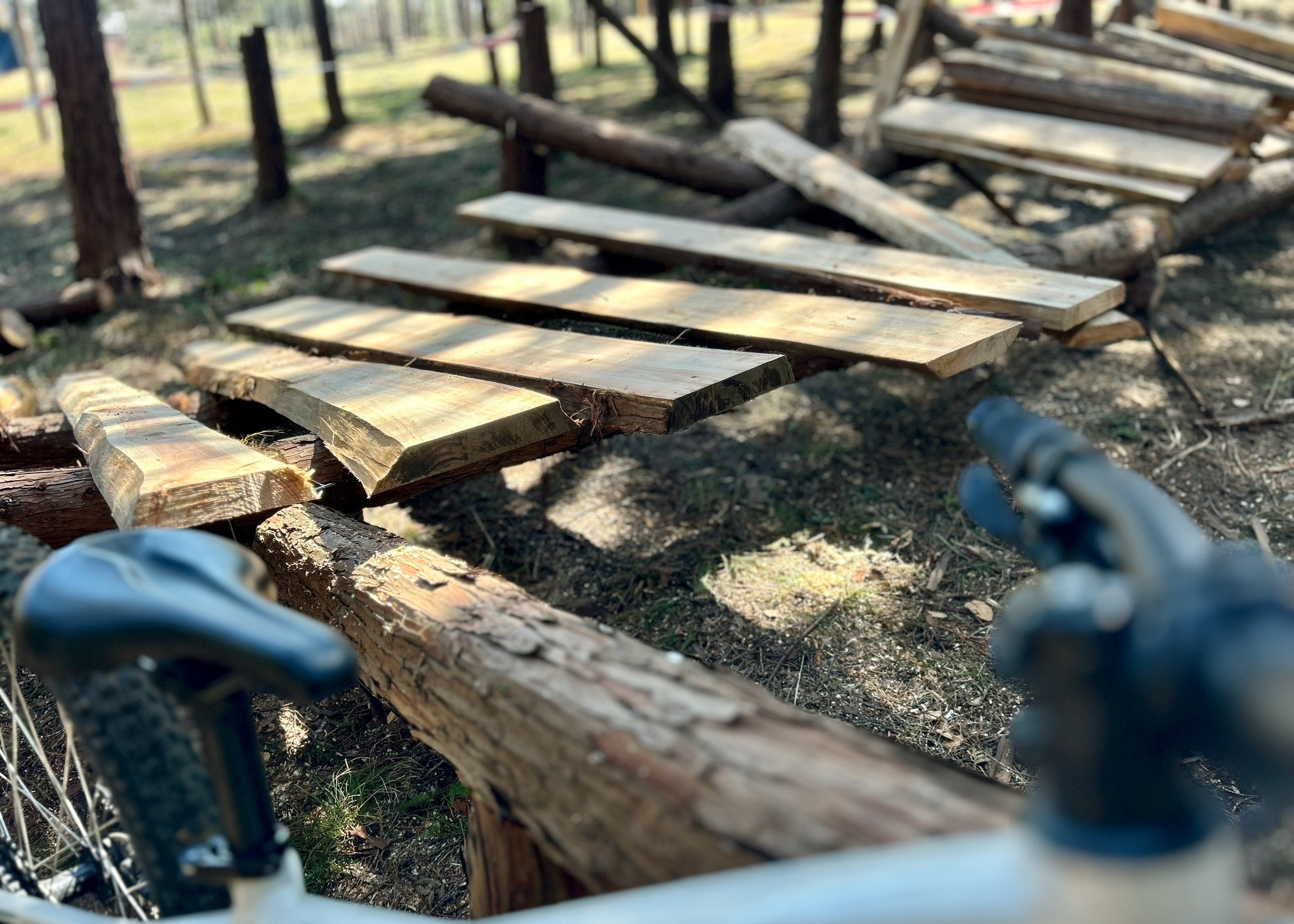 マヨイの森 Maison MIHARA YASUHIRO Autumn/Winter 2024 collection