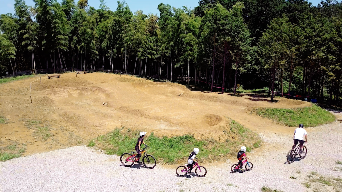 Forest Bike