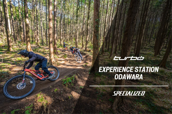 Forest Bike Forest Bike