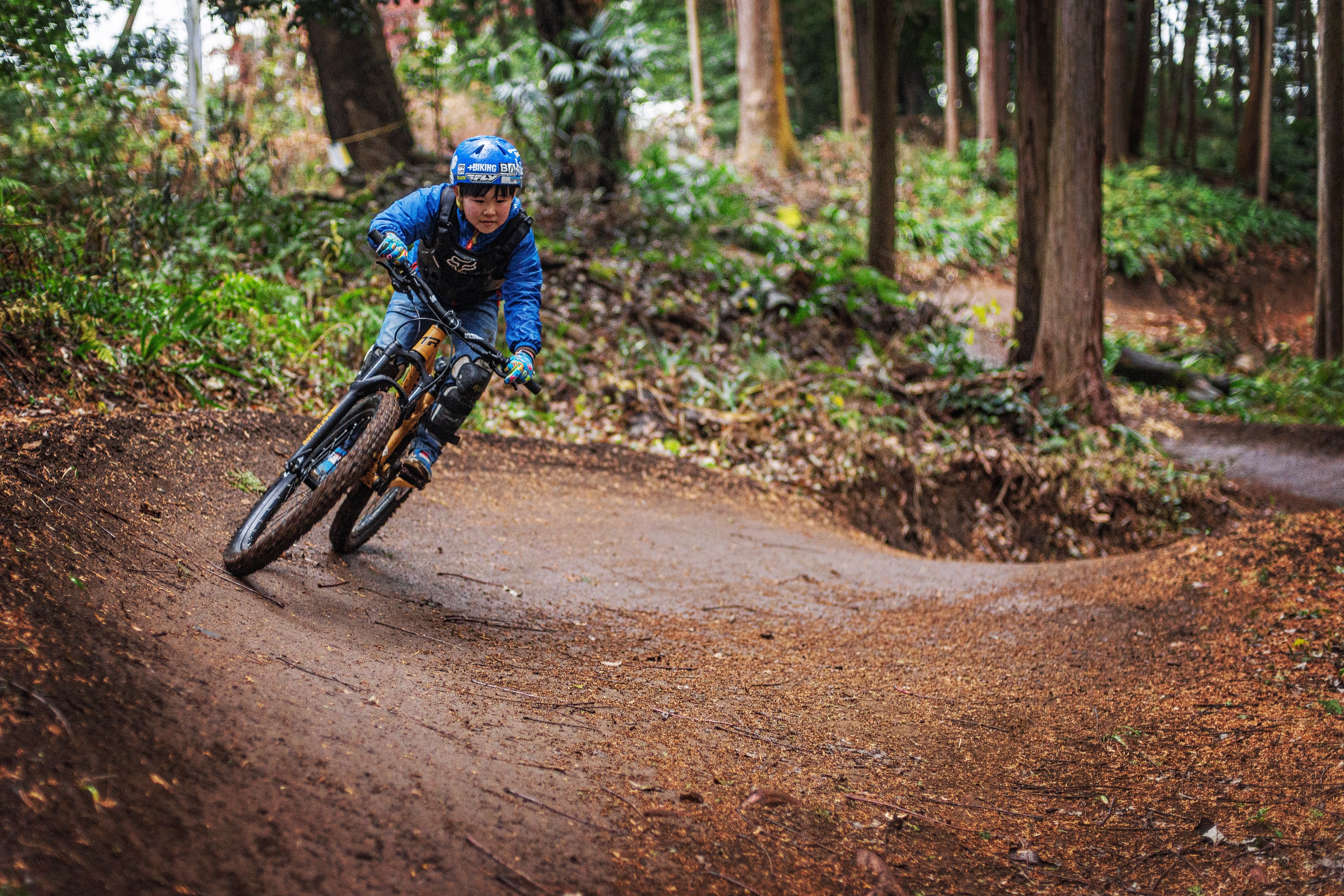 風神／雷神トレイル 最新レポート‼ | Forest Bike