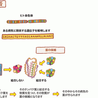 biology map ameba ownd