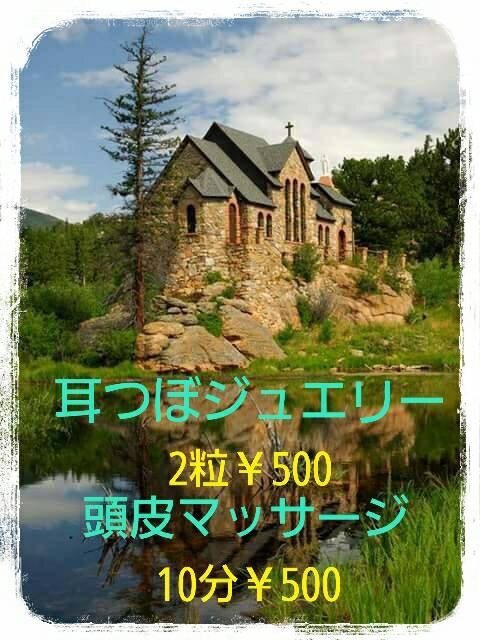 もみの木