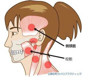 食いしばりでお悩みの方必見 ドライヘッドスパで食いしばり 歯ぎしり改善されるかも ドライヘッドスパサロンamolir