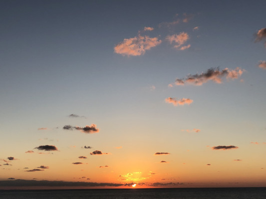 今年も大変お世話になりありがとうございました わだのおと Wadanote