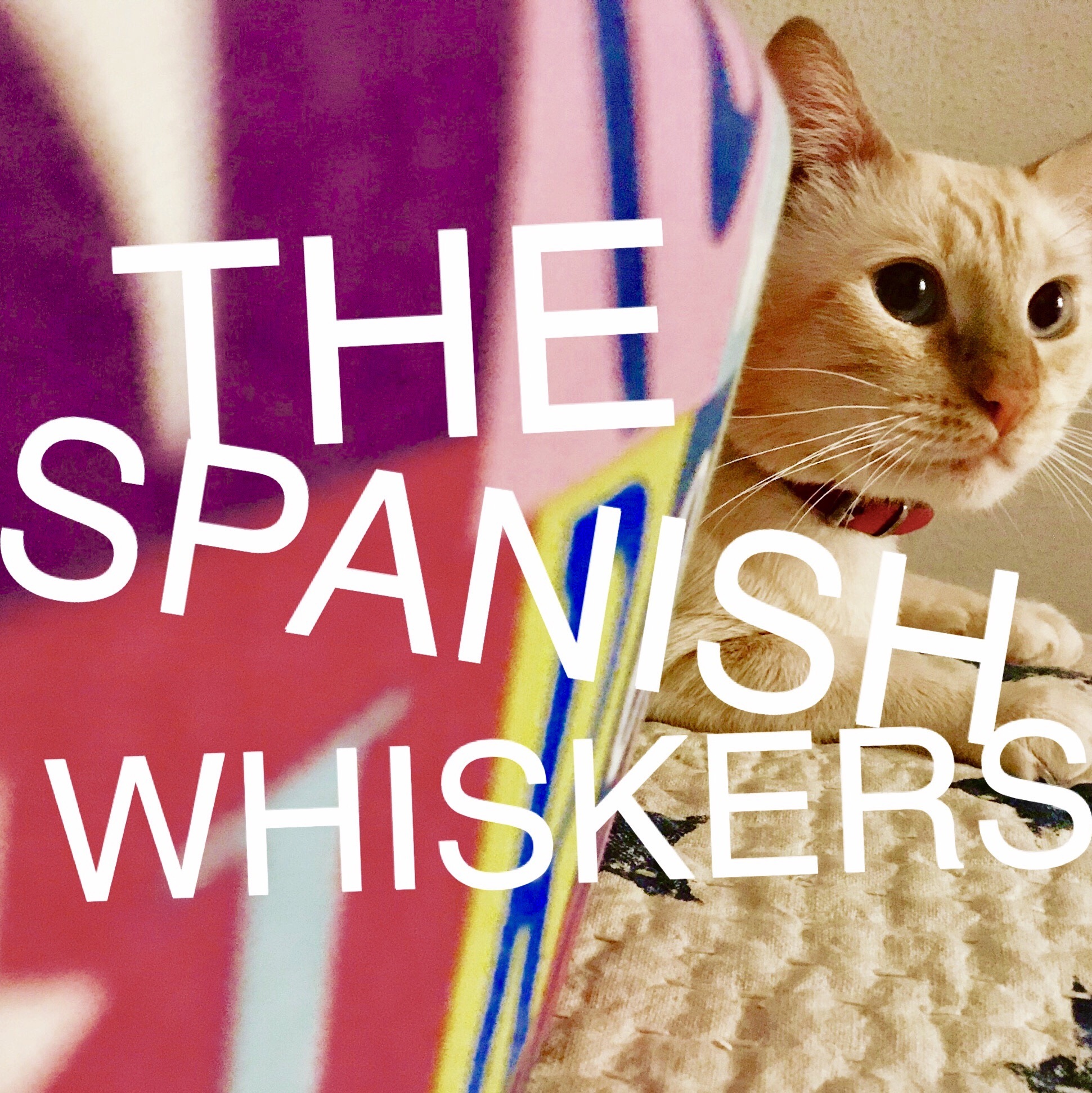 PROFILE THE SPANISH WHISKERS