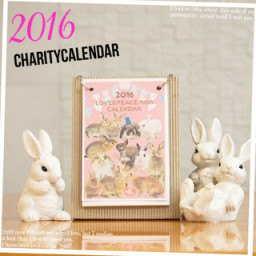 チャリティショップ情報 Save The Rabbits Blog