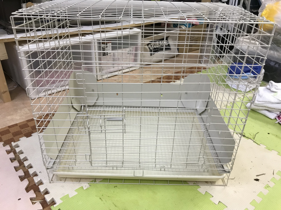 うさぎ飼育品など支援物資のおねがい Save The Rabbits Blog