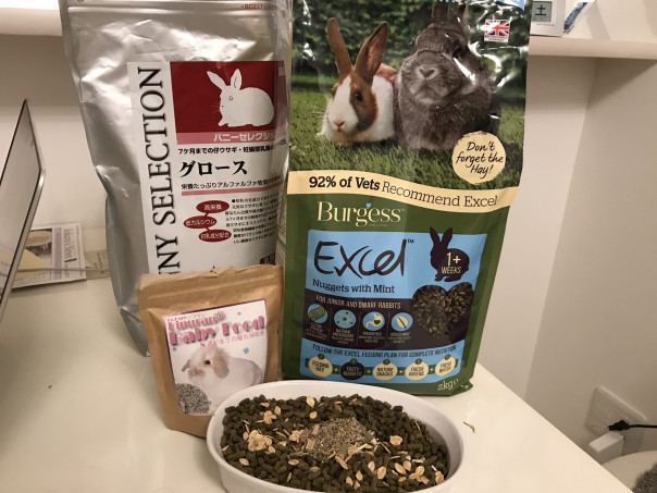 うさぎ飼育品など支援物資のおねがい Save The Rabbits Blog