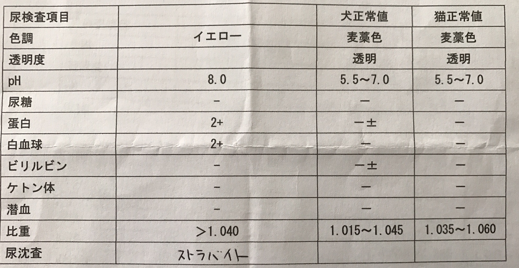 ストルバイト結石の療法食 食べ比べてみました  保護猫しらたまさん 