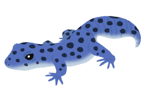 多因子遺伝する表現と 呼称の混乱 とっとこのレオパ覚え書き