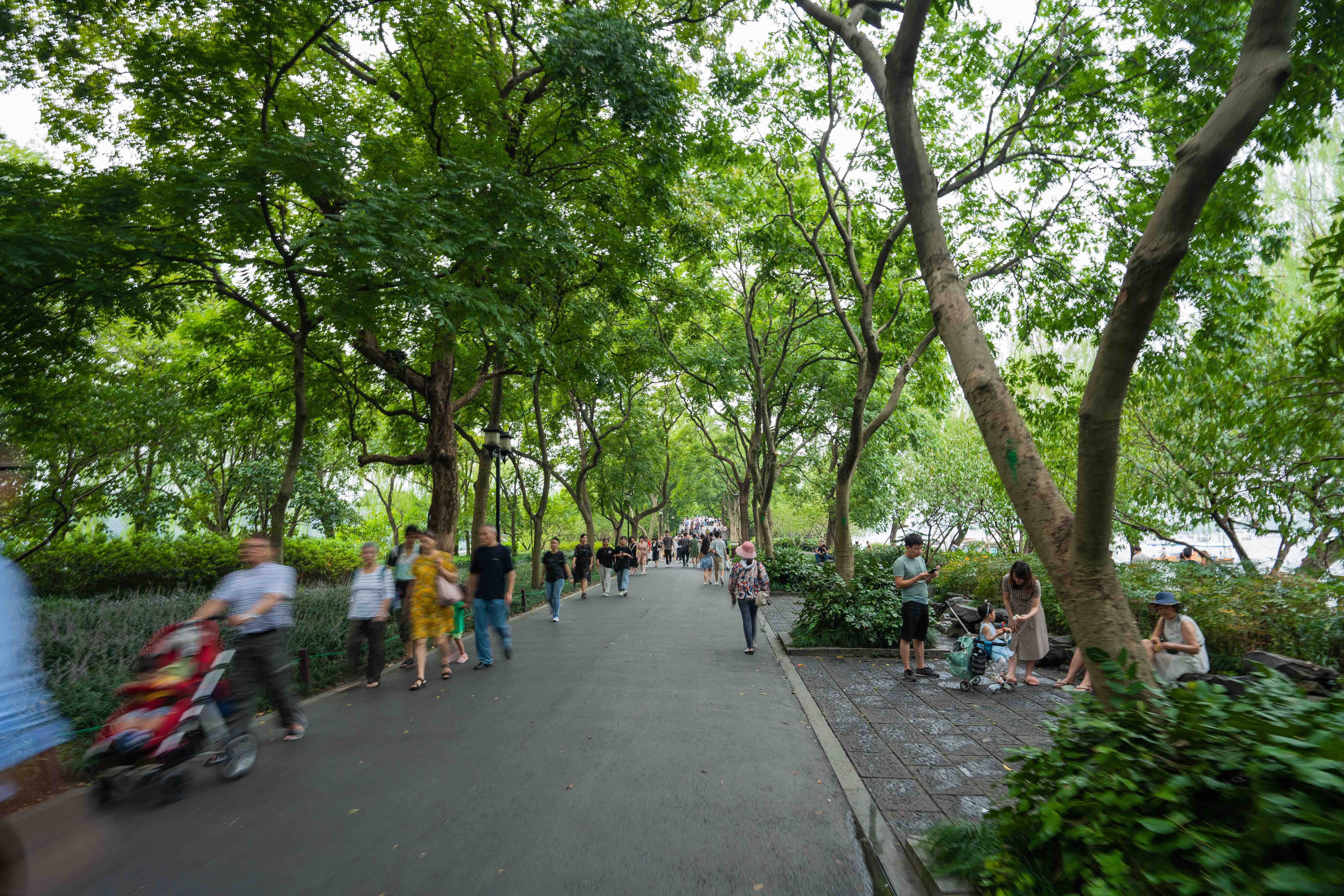 杭州西湖の文化的景観(中国) | World Heritage site 杭州西湖の文化的景観(中国) | World Heritage site