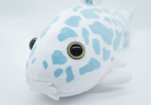 コリドラス パレアタス Chameleons Inc S Ownd コリドラス パレアタス Chameleons Inc S Ownd