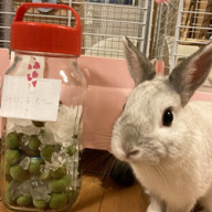 Sss Dance Team発表会 Dance School Jive Website ダンススクール ジャイブ