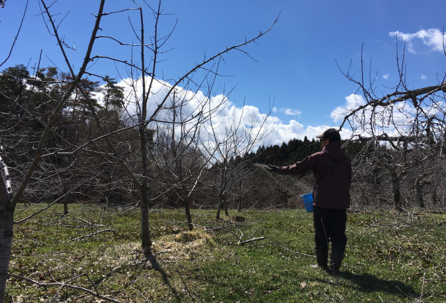 畑の肥やし やなぎさわりんご農園