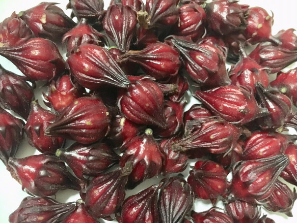 ローゼル収穫体験 ハワイアンセラピー Makana Aloha