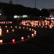 魂知和 魂知和