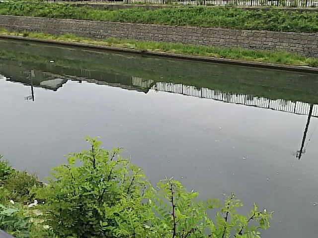 小田和正さんツアー16 君住む街へ 富山市総合体育館 第１アリーナ1日目 ネタばれあり この先の道