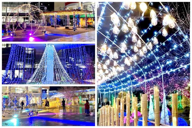 1)　夜のイルミネーション 13万球の輝きで彩る！長岡京市・バンビオイルミネーション2023 | SENSE