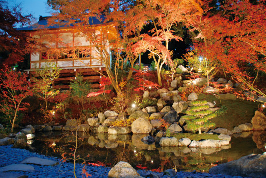 あの花の名所は紅葉の穴場スポット 秋の長岡京ぶらり散策 Sense Nagaokakyo 長岡京市のサブサイト あの花の名所は紅葉の穴場スポット 秋の長岡京ぶらり散策 Sense Nagaokakyo 長岡京市のサブサイト