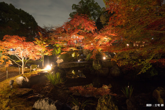 京都 長岡京紅葉ライトアップの舞台裏 スゴ腕庭師のその心に迫る Sense Nagaokakyo 長岡京市のサブサイト 京都 長岡京紅葉ライトアップの舞台裏 スゴ腕庭師のその心に迫る Sense Nagaokakyo 長岡京市のサブサイト