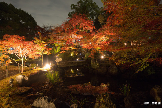 京都 長岡京紅葉ライトアップの舞台裏 スゴ腕庭師のその心に迫る Sense Nagaokakyo 長岡京市のサブサイト