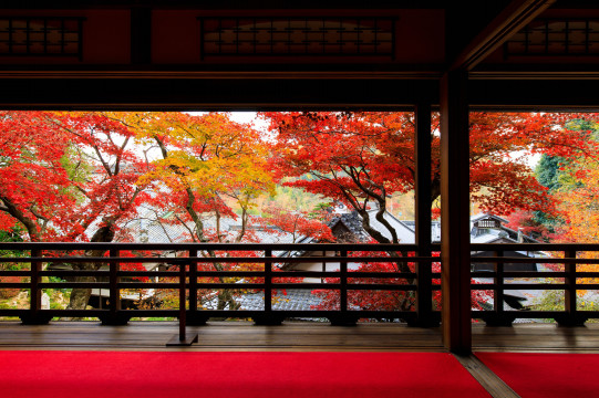 京都 長岡京の紅葉情報 ライトアップも 楊谷寺 長岡天満宮 Sense Nagaokakyo 長岡京市のサブサイト