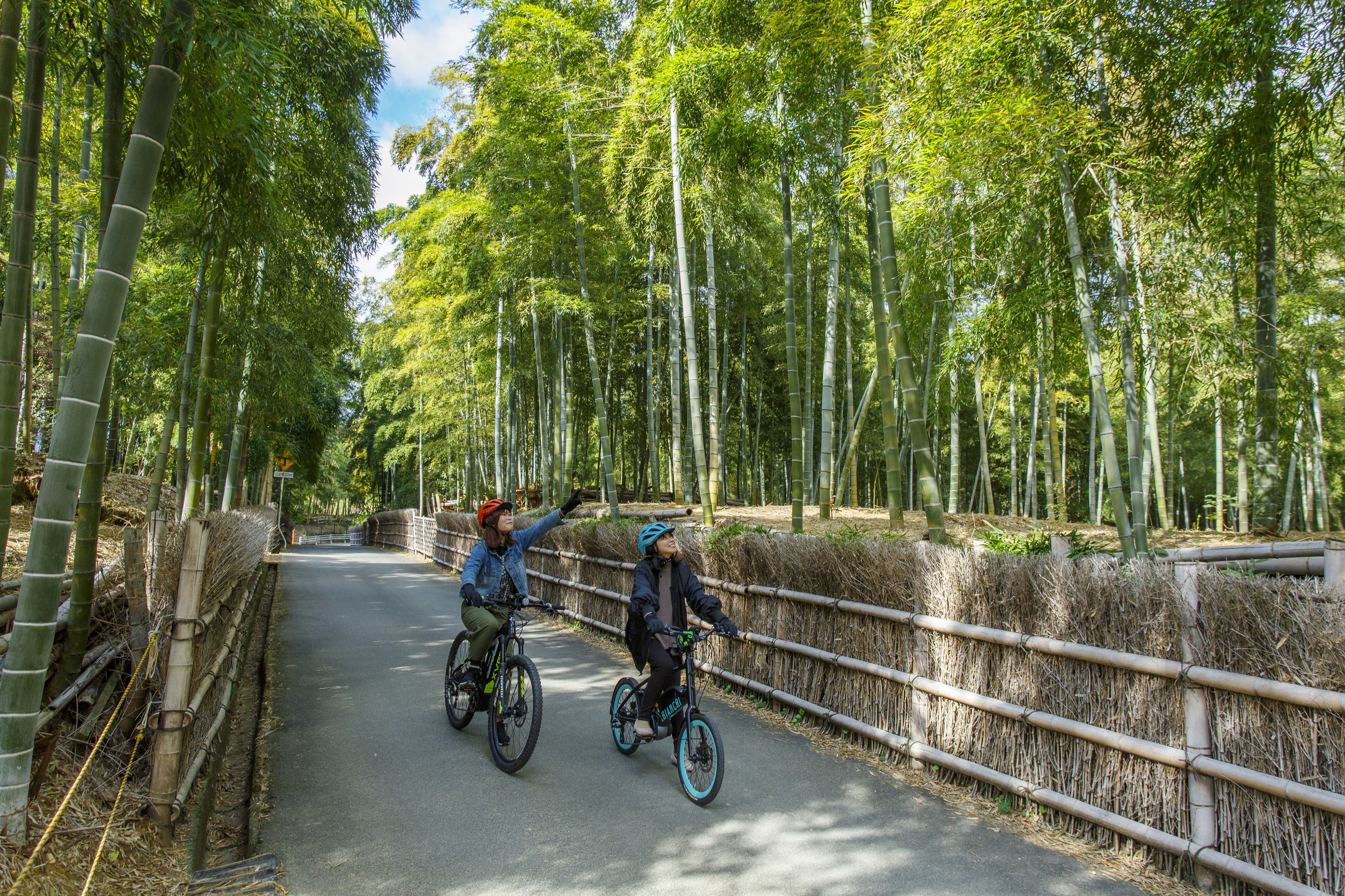 京都・向日・長岡京 紅葉と竹林を楽しむ秋の西山サイクリング | SENSE NAGAOKAKYO ～長岡京市のサブサイト～