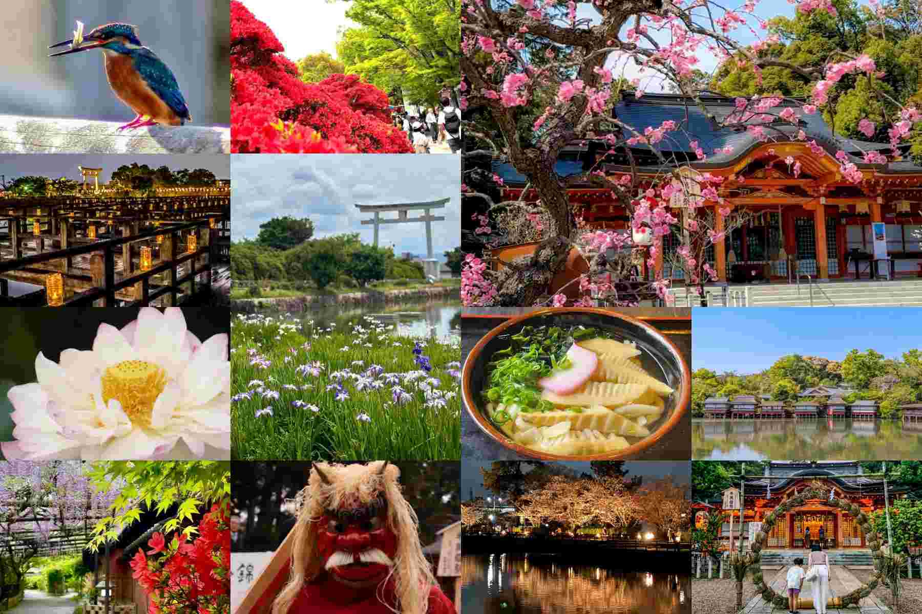 たけのこ | SENSE NAGAOKAKYO ～長岡京市のサブサイト～