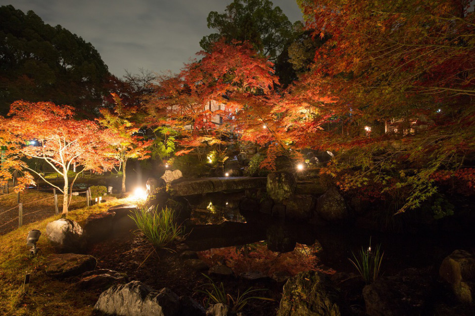 京都 長岡京の紅葉情報 ライトアップも 楊谷寺 長岡天満宮 Sense Nagaokakyo 長岡京市のサブサイト