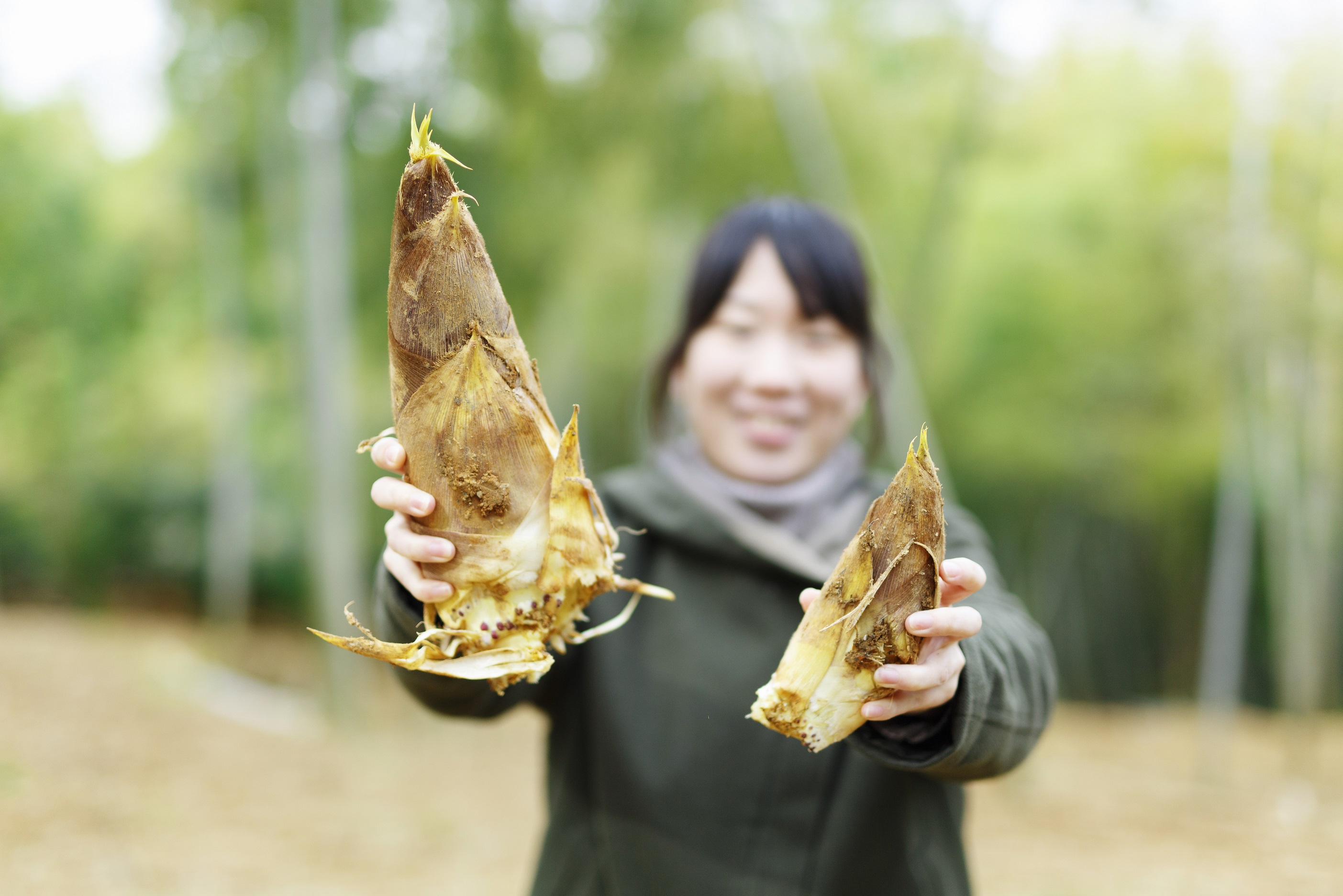 長岡京の特産品「白子タケノコ」を求めて！レシピあり♪ | SENSE NAGAOKAKYO ～長岡京市のサブサイト～