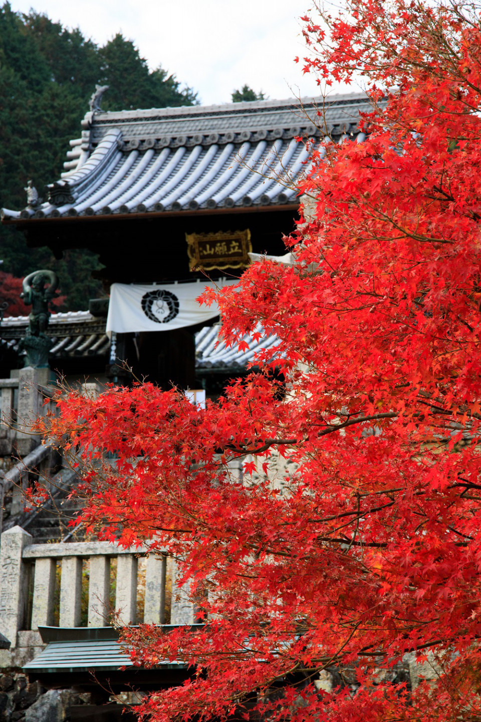 京都 長岡京の紅葉情報 ライトアップも 楊谷寺 長岡天満宮 Sense Nagaokakyo 長岡京市のサブサイト