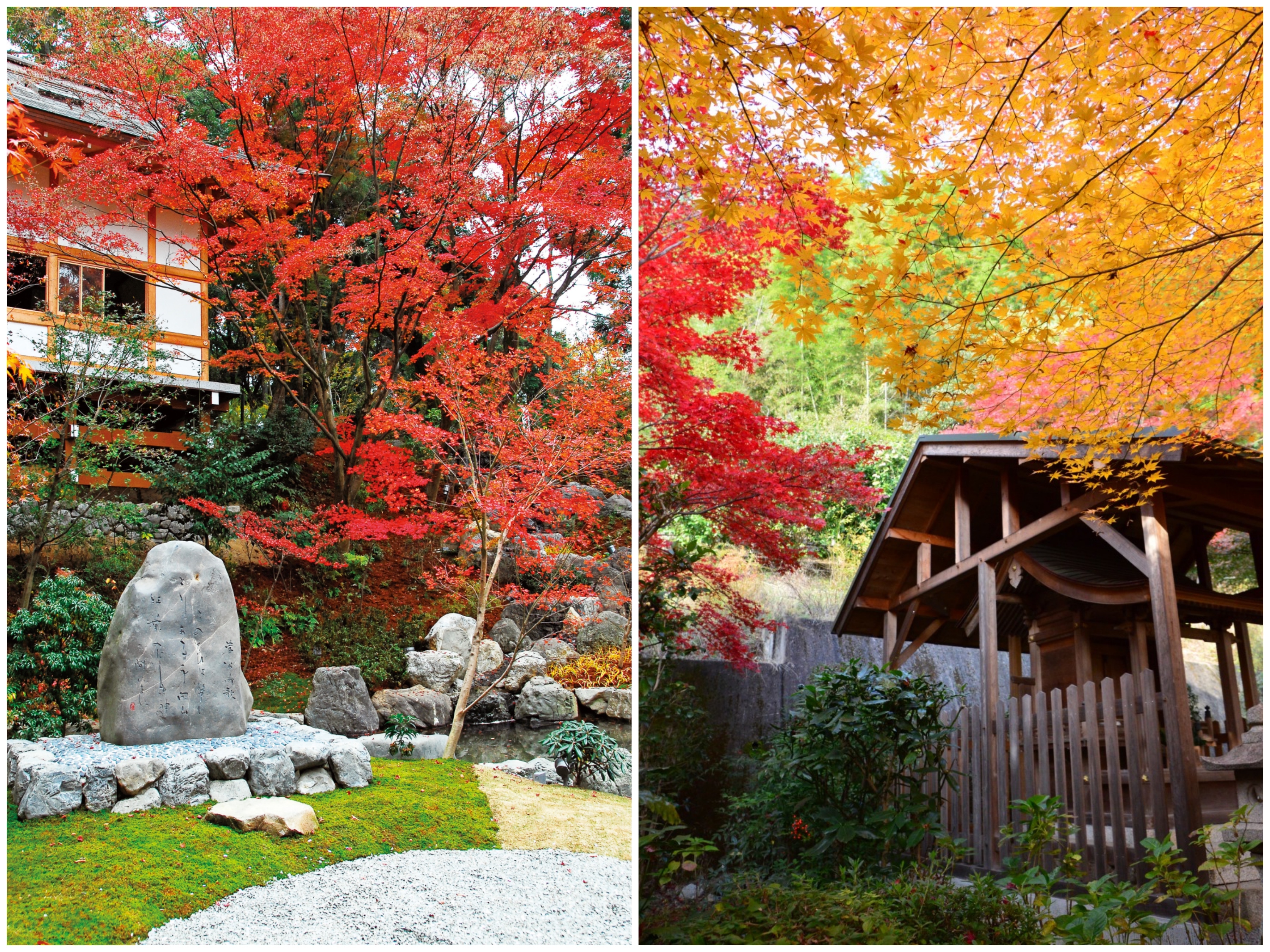 あの花の名所は紅葉の穴場スポット 秋の長岡京ぶらり散策 Sense Nagaokakyo 長岡京市のサブサイト