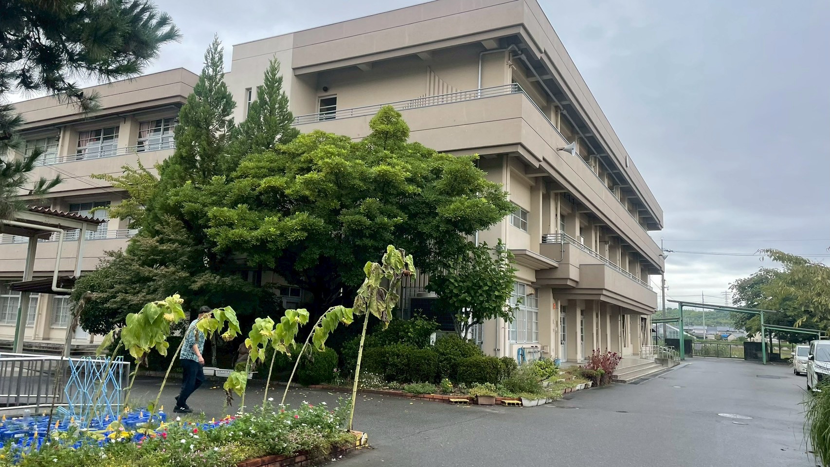市民ライター | SENSE NAGAOKAKYO ～長岡京市のサブサイト～