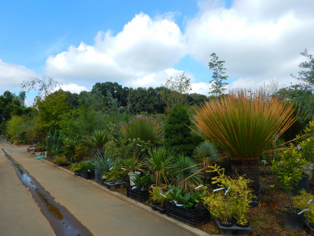 園芸パラダイス 埼玉県花植木流通センターが楽しい Lutra Lutra Climb Park