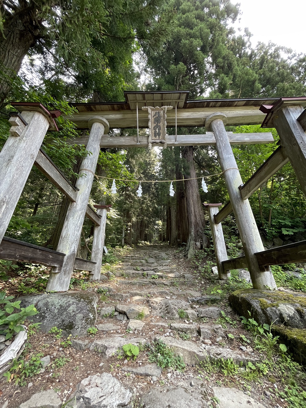 津南 龍ヶ窪】緑の絶景パワースポットに痺れた日🐲 | Lutra Lutra