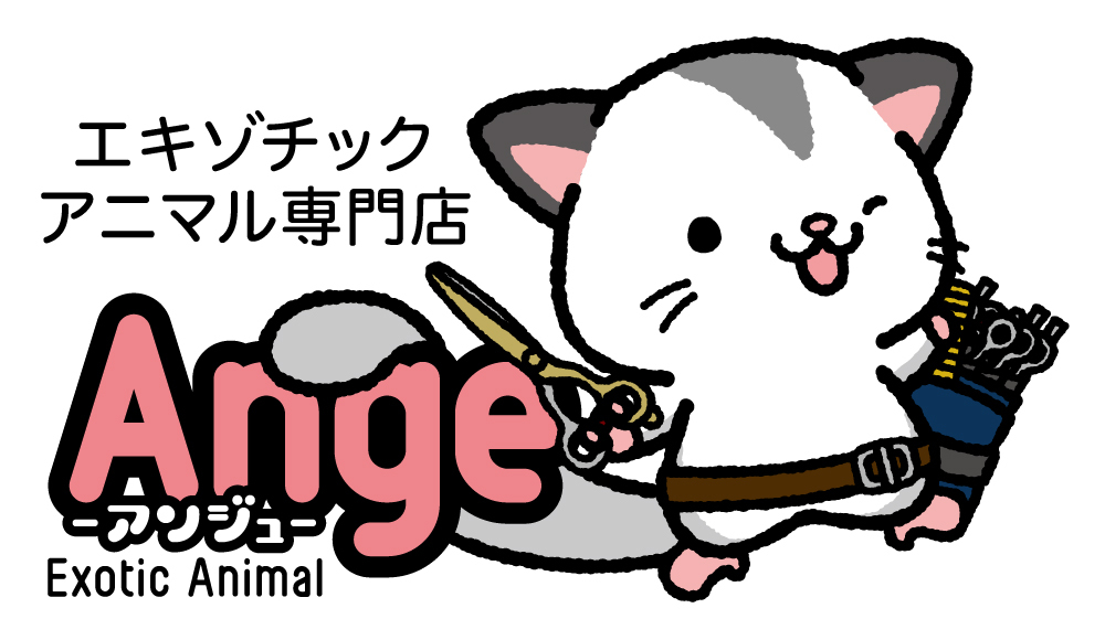 エキゾチックアニマル専門店 Ange