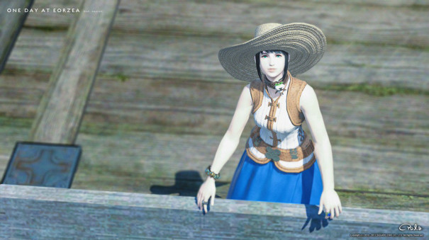 柵に手をかける Ff14 このエモが使える まとめ 想像力のない奴に翼は持てない 柵に手をかける Ff14 このエモが使える まとめ 想像力のない奴に翼は持てない