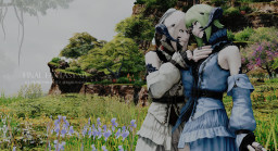 アウラ Ff14 このエモが使える まとめ 想像力のない奴に翼は持てない