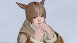 アウラ Ff14 このエモが使える まとめ 想像力のない奴に翼は持てない