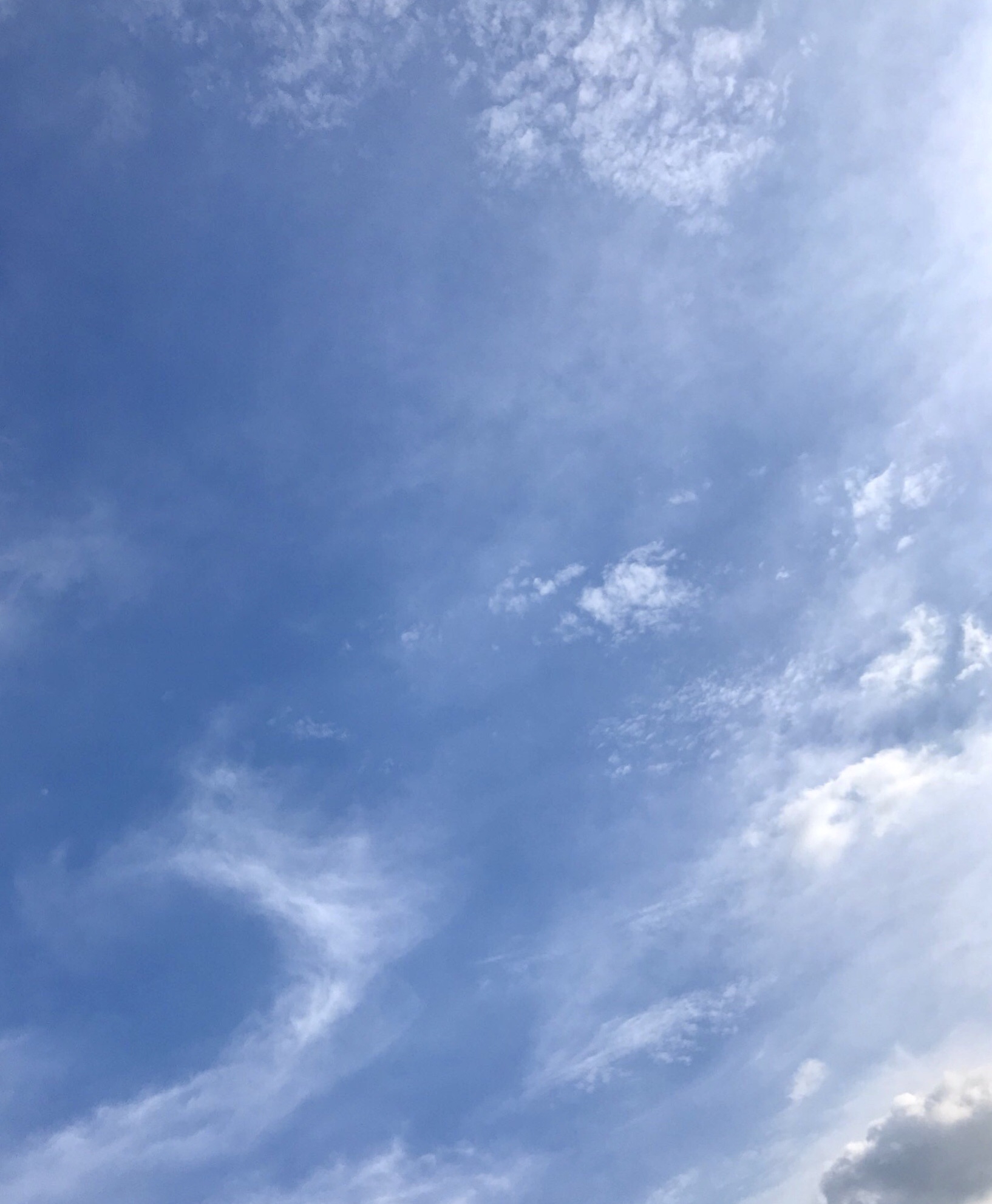 梅雨の晴れ間の天色の空 つかまれる歌 | Little♥Humming