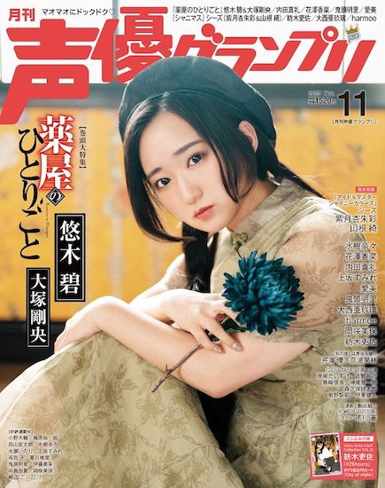 90年代～2000年初頭　声優グランプリ　26冊セット　付録おまけ多数！ 90年代 アニメディア 付録 別冊 冊子 10冊セット - メルカリ