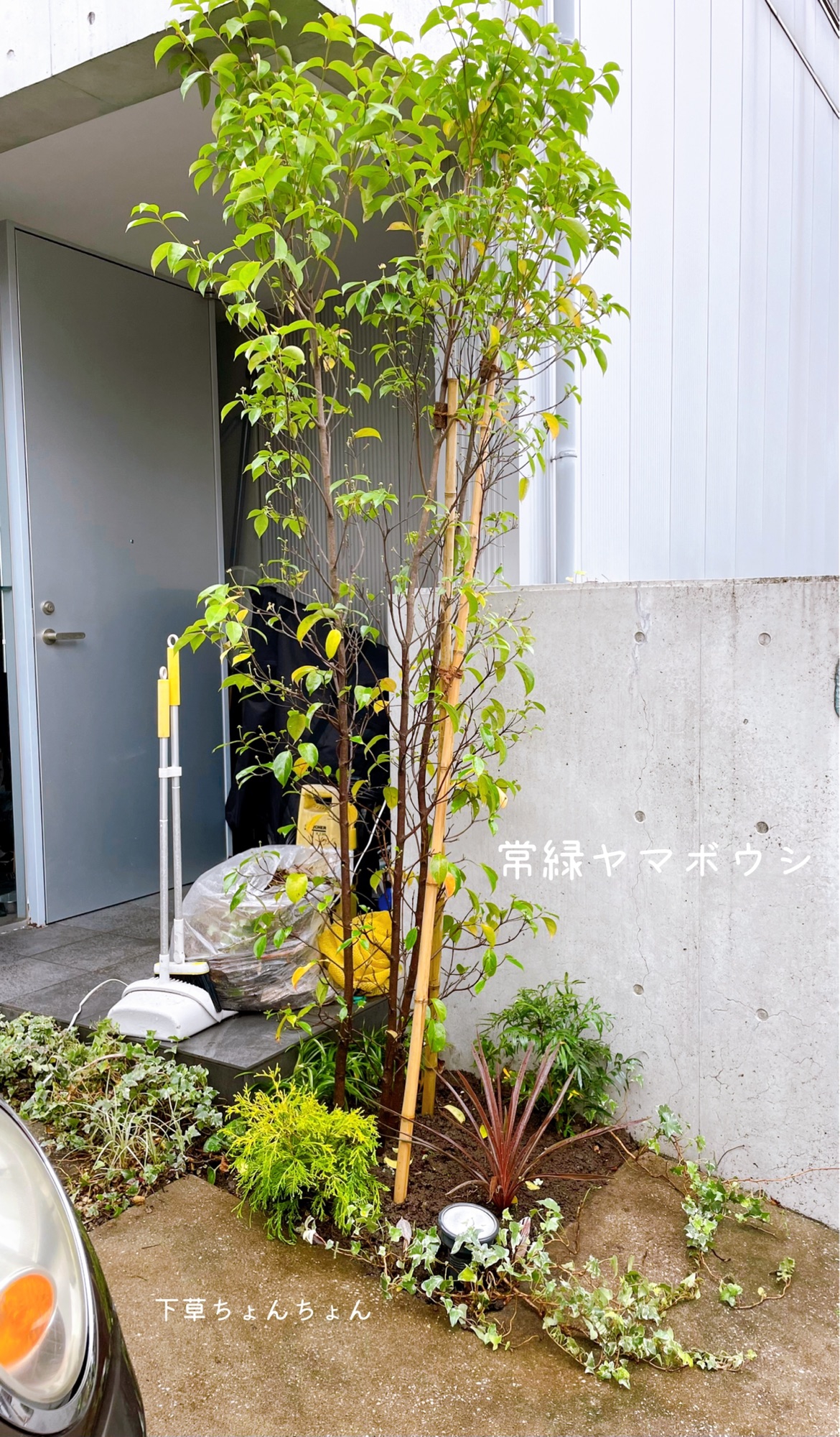 5d432a742903cd4085d3dd05420826