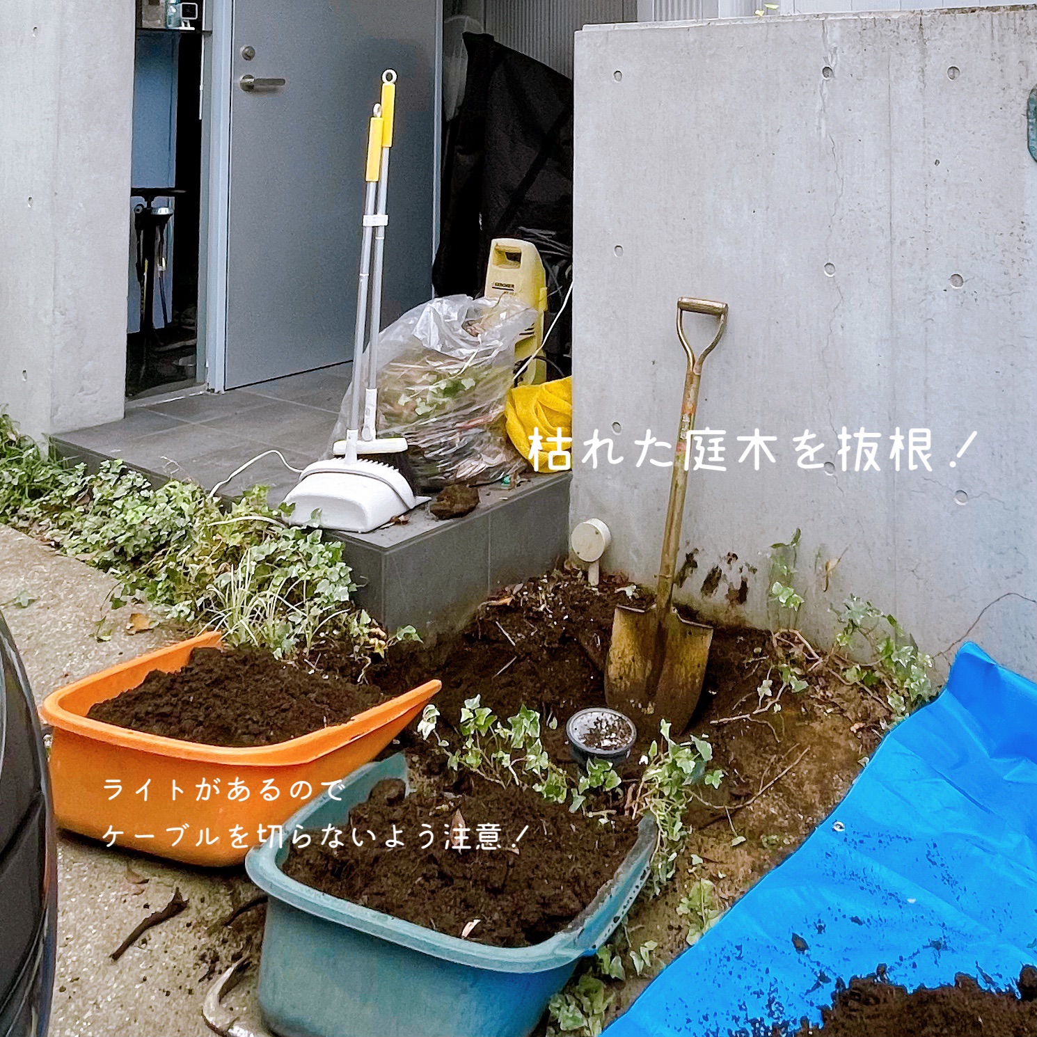 シンボルツリー植栽(°▽°) | irodori garden