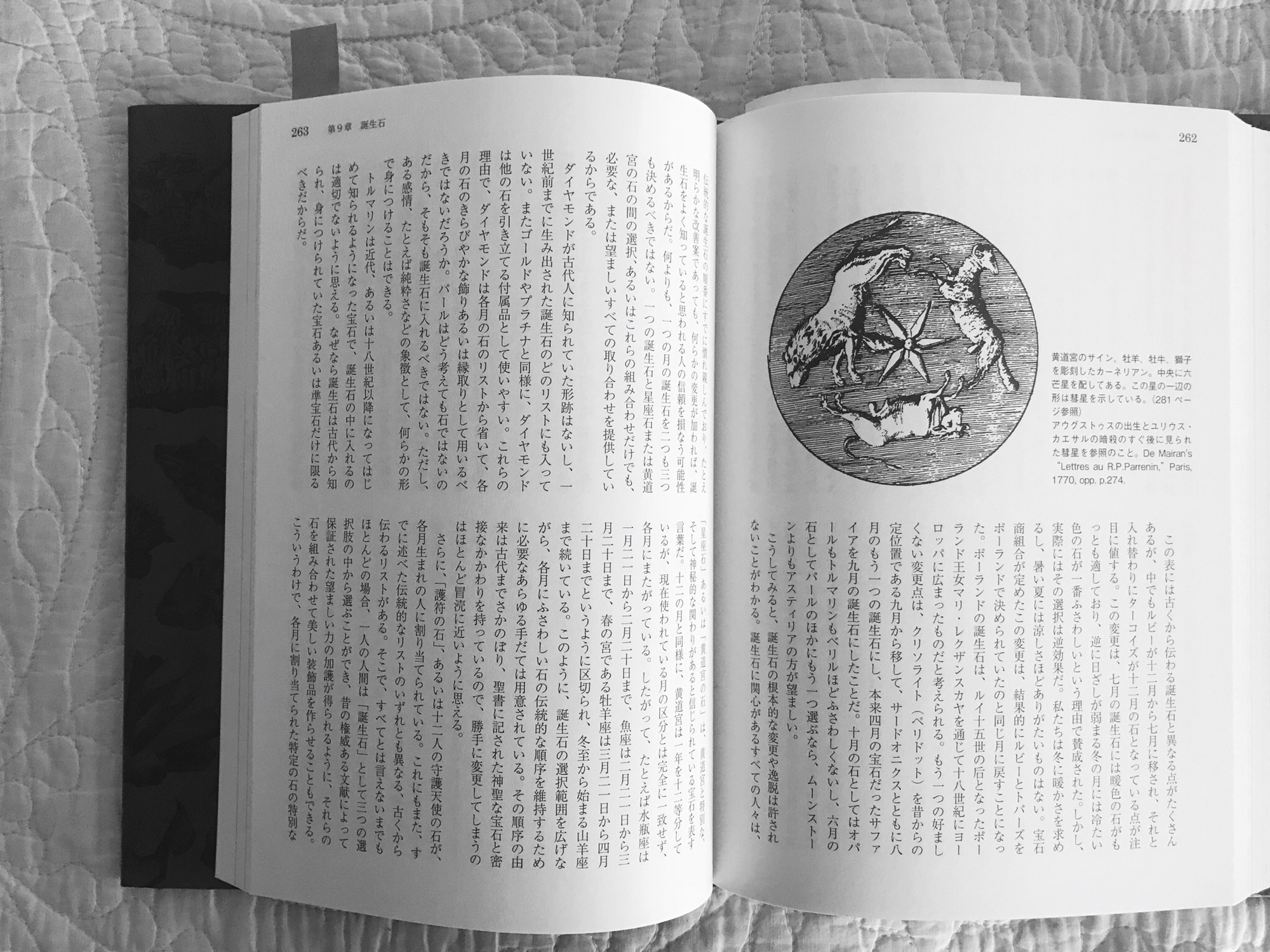 宝石と鉱物の文化誌 | MEDOW｜NOYAU